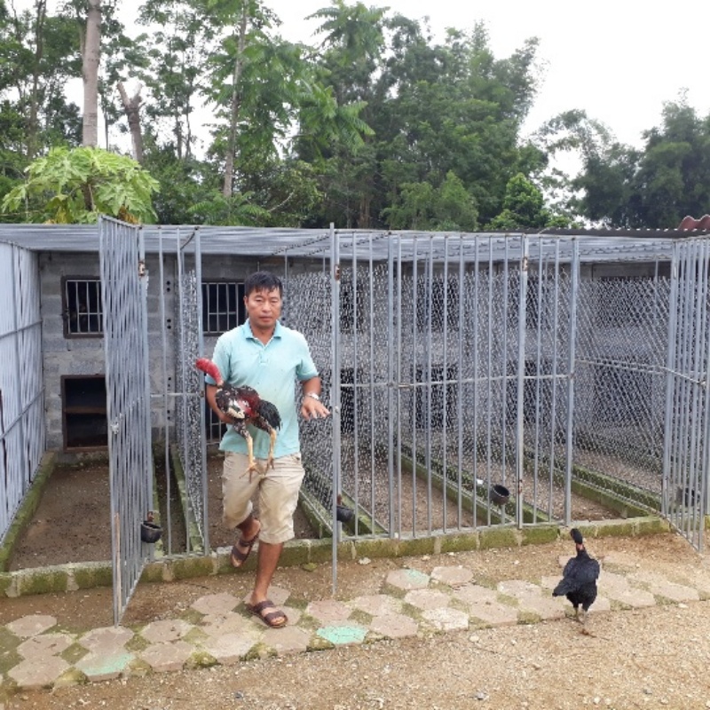Trại gà Toàn Cao Lãnh