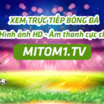 Review trang MiTom1 TV – Toàn bộ thông tin cần biết