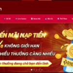 Cá cược thả ga cùng R98 – nhà cái đẳng cấp số 1 hiện nay