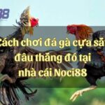 Cách chơi đá gà cựa sắt hôm nay đặt đâu thắng đó tại nhà cái Noci88