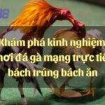 Khám phá kinh nghiệm chơi đá gà mạng trực tiếp bách trúng bách ăn