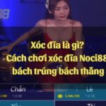 Xóc đĩa là gì? Hướng dẫn cách chơi xóc đĩa Noci88 bách trúng bách thắng